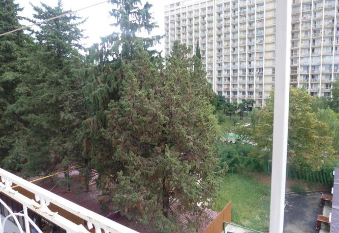 Гостиница Guest House On Prosvescheniya Сочи-23